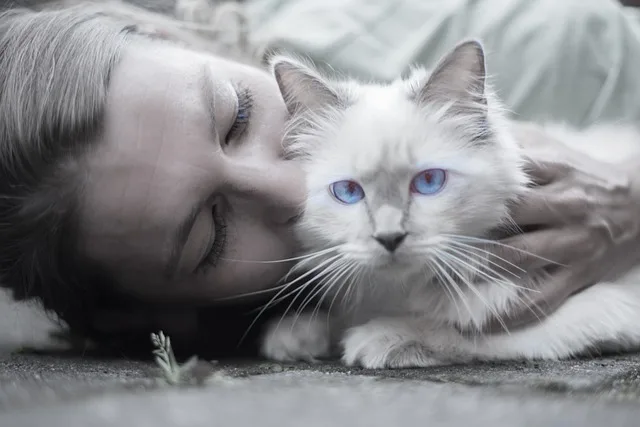 How to Get a Cat to Like You: A women kissing her cat in blue eyes