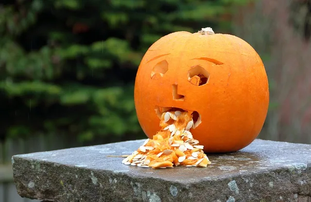 A pumpkin is trying to puke in a garden