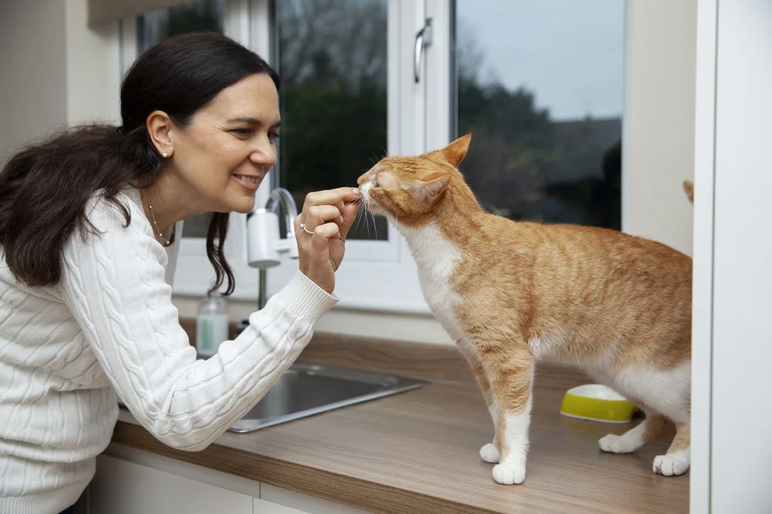 How to Give a Cat a Pill : An Owner giving Pill Medicine