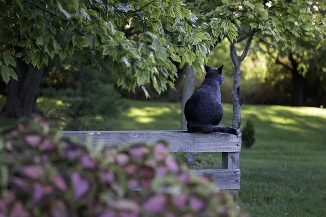 A cat relaxing while sitting on a bench