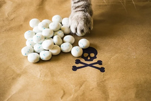A cat is trying different pills with a danger sign under the pills