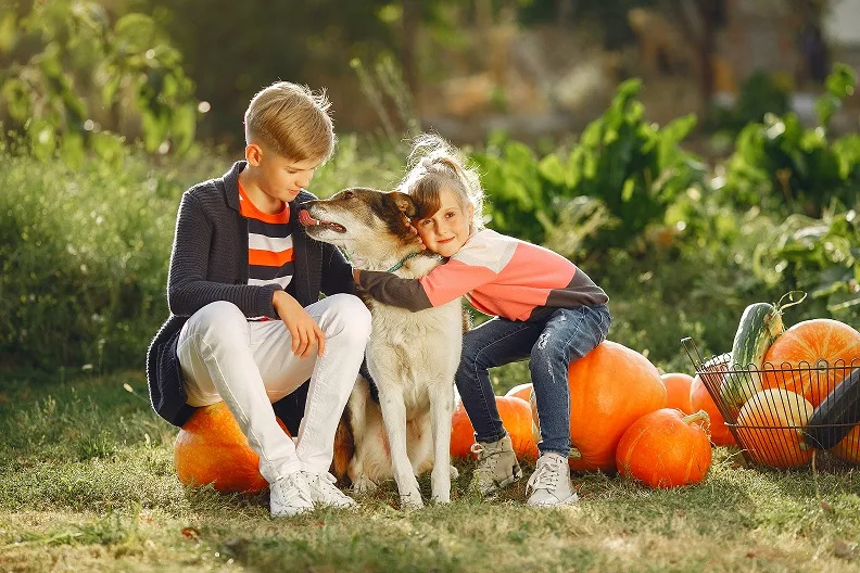 A boy and a girl are playing with their dog while sitting on pumpkins