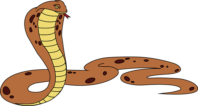 A sketch depicting a cobra reptile snake